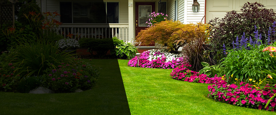 Atherton Landscapers
